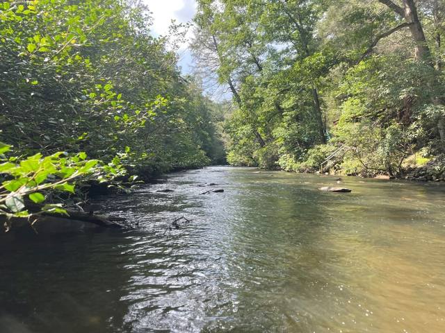 The Ellijay River